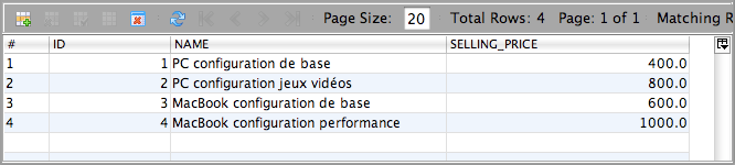 Accès à la base de données sur Java DB via NetBeans